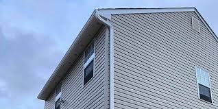 Best Fiber Cement Siding Installation  in El Cenizo, TX